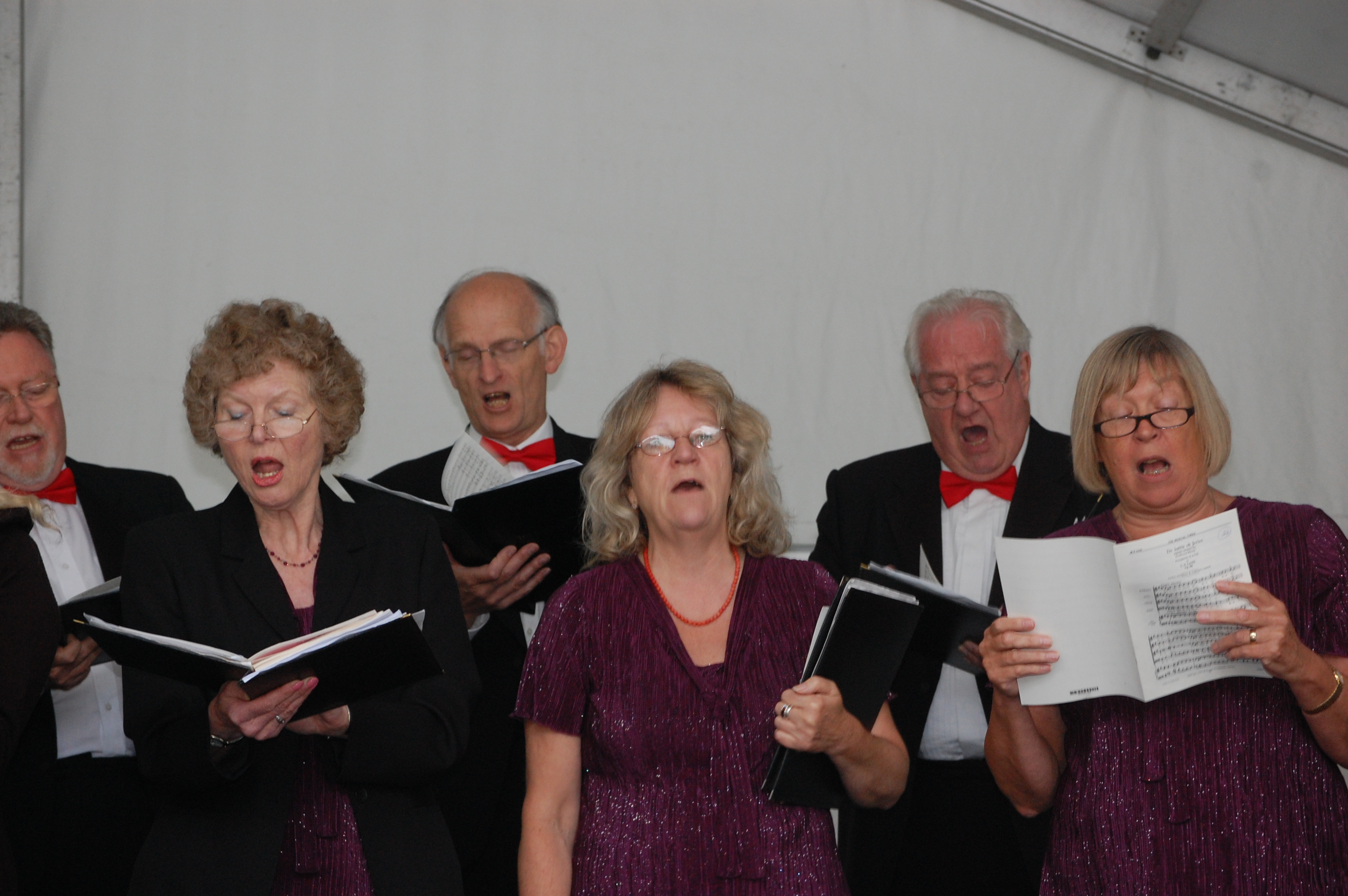 TMS Malta Peter 2013 078