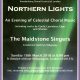 Northern Lights Poster